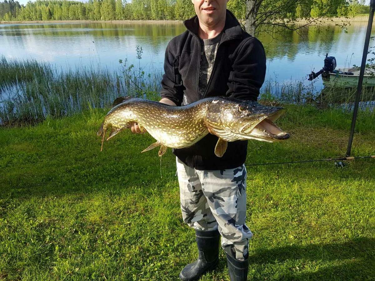 Vila Kaijonselaen Moekit Kaita Kaitainen Exteriér fotografie